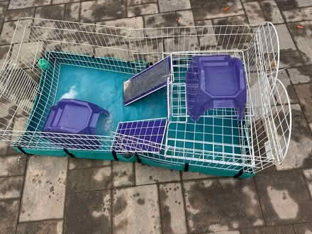 Photo of free Guinea pig cage and supplies (Bowie) #1