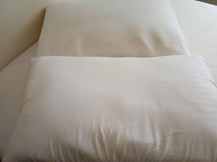 Photo of free 2 x memory foam pillows - firm (Hammersmith) #1