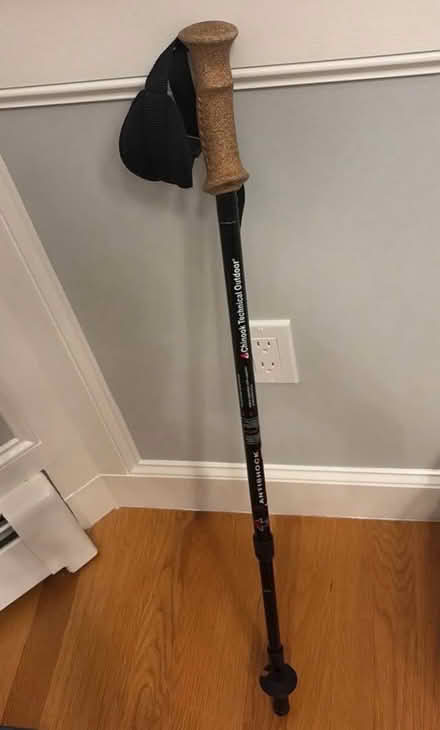 Photo of free 2 walking sticks (Off Lexington st in Waltham) #2