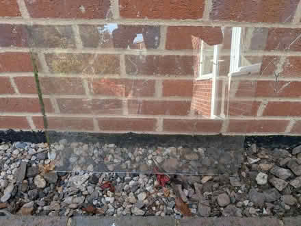 Photo of free Pane of Horticultural Glass (Cannon Park CV4) #1