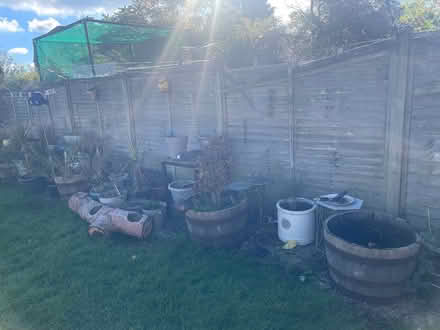 Photo of free Garden pots and plants (TN48LB) #3