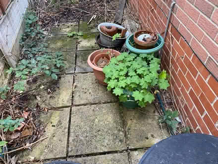 Photo of free Plant pots/bins (Offerton SK1) #1
