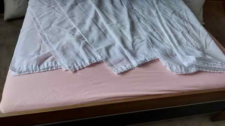 Photo of free 7 Plain net curtains (Belfast BT11) #1