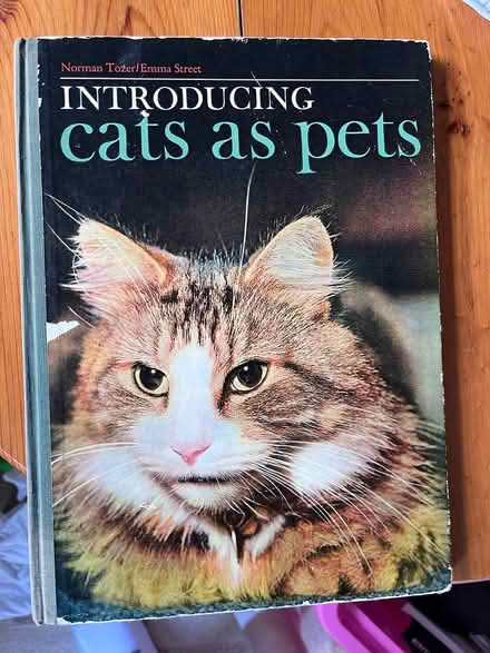 Photo of free Introducing cats as pets (billericay CM12) #1