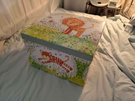 Photo of free decorative storage box, 37x37x24 cm, folds down (Boscombe BH5) #1