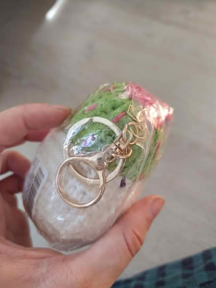 Photo of free Crochet cactus (Staplehurst TN12) #3