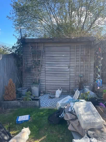 Photo of free Shed (TN48LB) #1