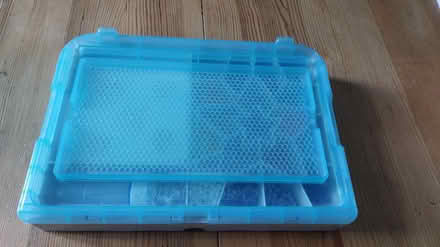Photo of free Aquabeads set (Eastergate PO20) #2