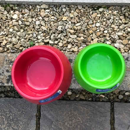 Photo of free 2 x plastic dog bowls (Stoke Gifford BS34) #2