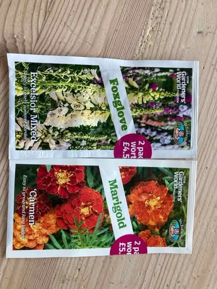 Photo of free Seeds (Bloomfield BA2) #1