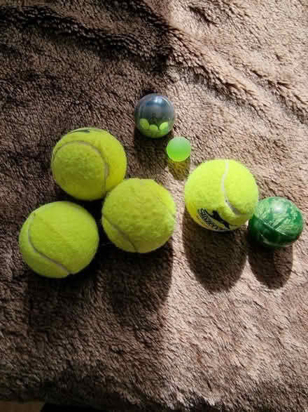 Photo of free Balls (Linden GL1) #1