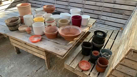 Photo of free Pots inside and outside (Wood Street Village GU3) #1