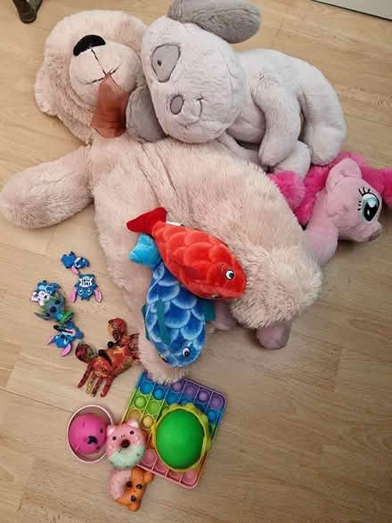 Photo of free Croc Jibbitz, Fidget Toys & Cuddlies (Linden GL1) #1