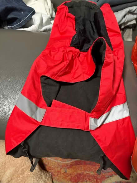 Photo of free Dog rain/snow jackets (Adams Point) #1