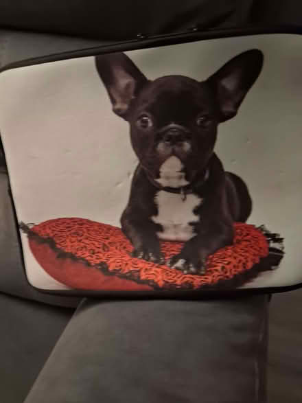 Photo of free Laptop cover (Garforth LS25) #1