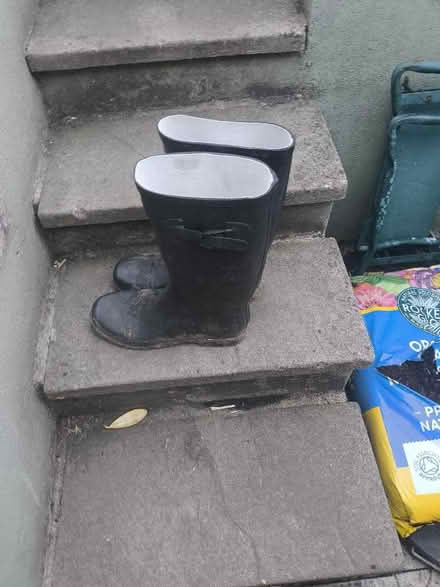 Photo of free Size 10 wellies (Twerton BA2) #2