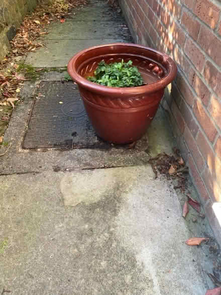 Photo of free Large planter (Offerton SK1) #1