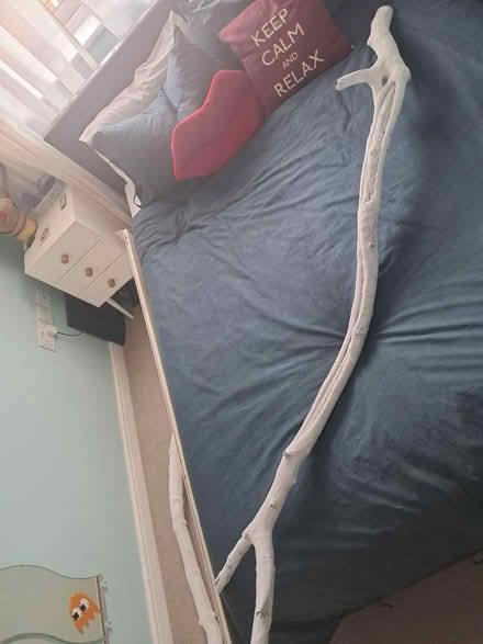 Photo of free White branches for DIY (Westhampnett PO18) #1