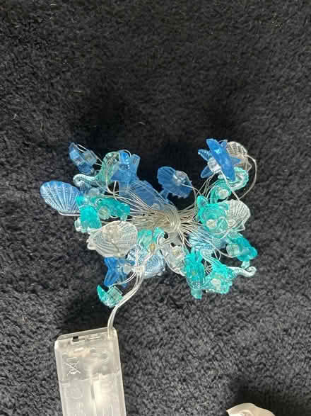 Photo of free Sea shells and sea themed string of lights (Plumpton CA11) #2