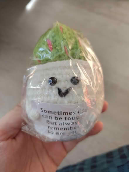 Photo of free Crochet cactus (Staplehurst TN12) #1