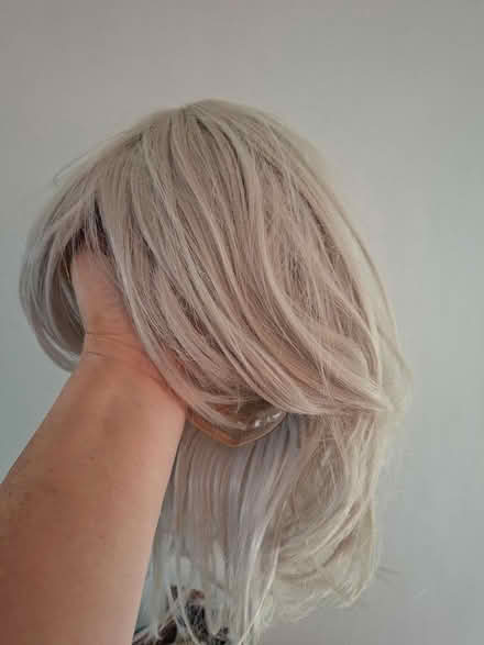 Photo of free Grey ladies wig (Walsall WS1) #2
