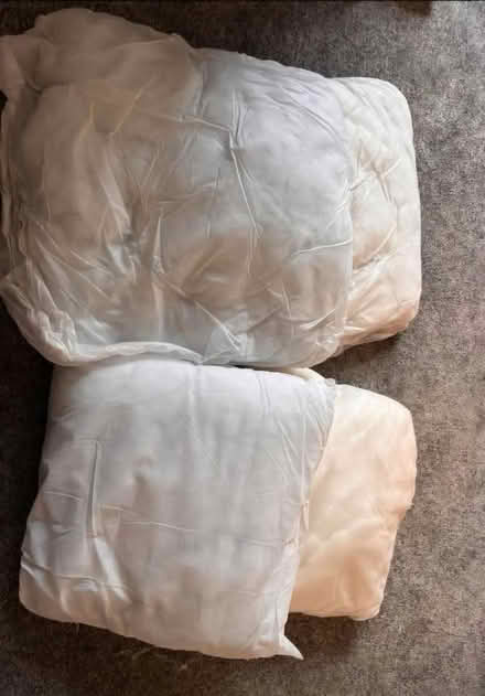 Photo of free Cushions (Sandbach CW11) #2