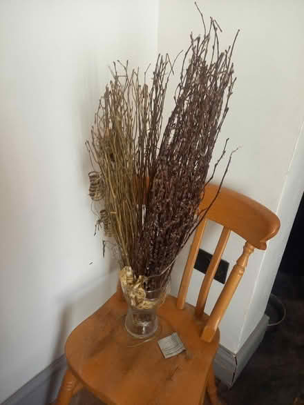 Photo of free Decorative twigs (Mottingham SE9) #1