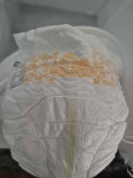 Photo of free Size 1 nappies x25 (Seaside BN22) #2