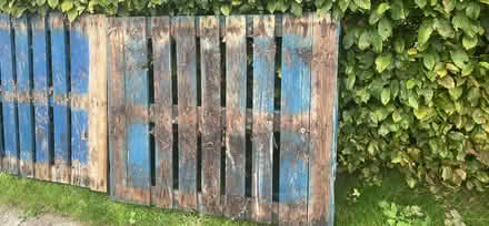 Photo of free palettes (Higher Wych SY13) #1
