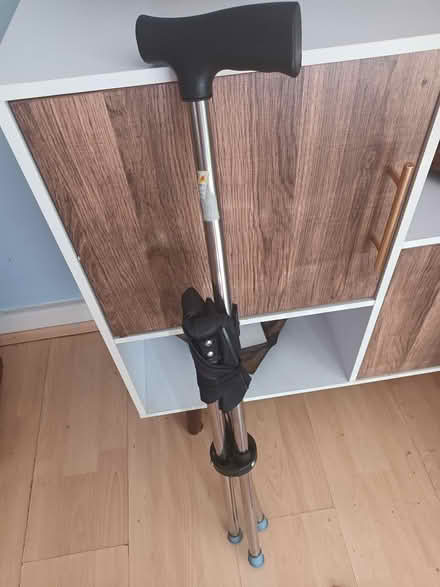 Photo of free Walking stick with seat (Aylesford ME20) #3