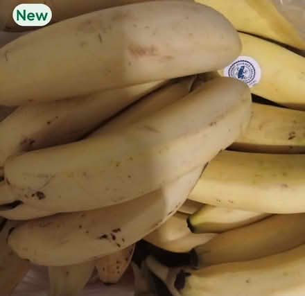 Photo of free Bananas (Sheddingdean RH15) #1