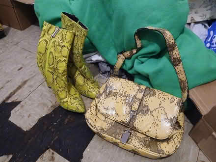 Photo of free Snakeskin heels and purse (Harlem) #2