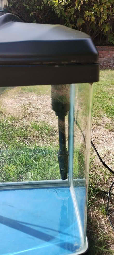 Photo of free Fish tank, filter and aerator (Central Watford WD17) #3