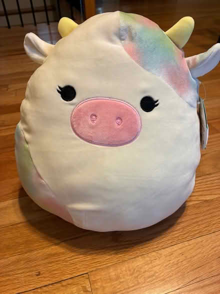 Photo of free Cow squishmallow (Saugerties) #1
