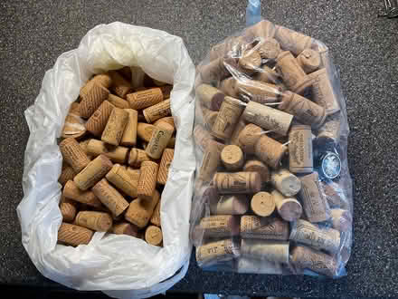 Photo of free Used wine corks for crafting (Waterbeach CB25) #1