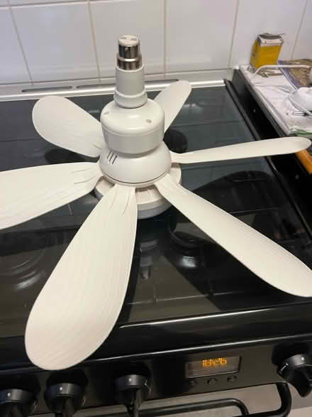 Photo of free Ceiling fan (SE12 lee) #3