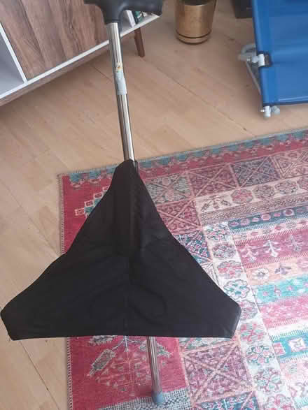 Photo of free Walking stick with seat (Aylesford ME20) #2