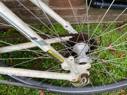 Photo of free Ladies Nomad bicycle (Willingdon BN20) #3