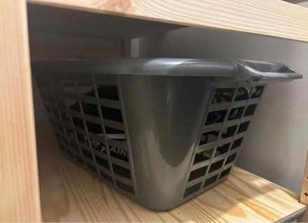 Photo of free Laundry basket (Oxford, Cowley OX4) #1