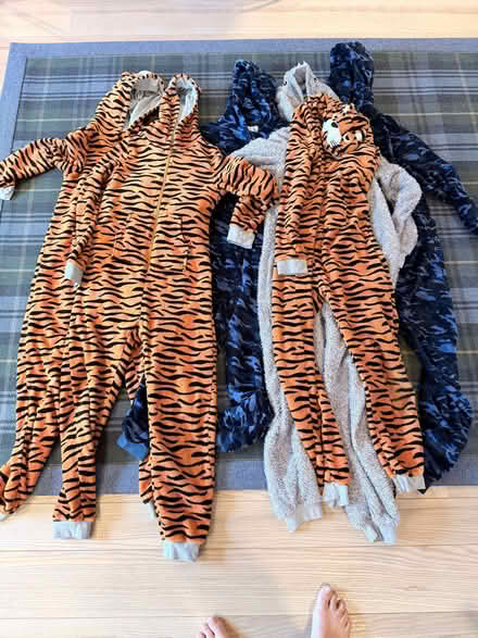 Photo of free Onesies - tiger and bear sizes approx age 12-14 (West Common AL5) #1