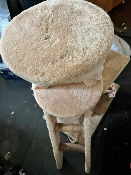 Photo of free Cat tree (Upton CH2) #2