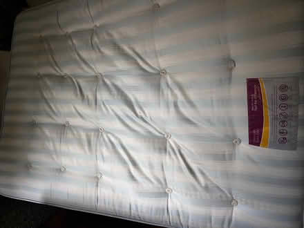 Photo of free Double divan bed (base is in two parts) (Guestling Green TN35) #3