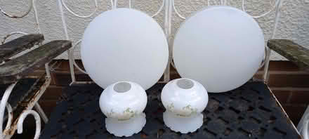 Photo of free Ceiling light shades and glass lamp shades (Pant SY10) #2