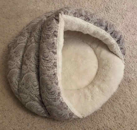 Photo of free Cat (dog?) bed (Bernardo & Iowa, Sunnyvale) #1