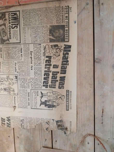 Photo of free Old newspapers (AL7 Welwyn Garden City) #1