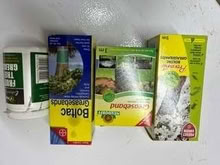 Photo of free Greasebands for fruit trees (Caldecott OX14) #1