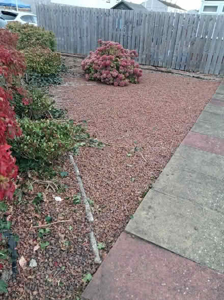Photo of free Stone chippings (Cockenzie and Port Seton EH32) #3