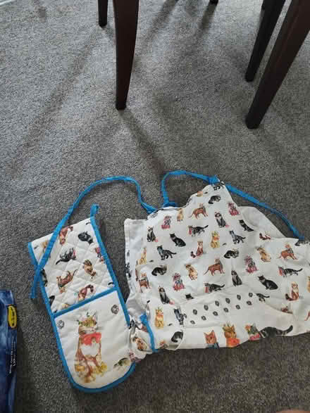 Photo of free Cat oven glove and apron set (Kimberworth S61) #1