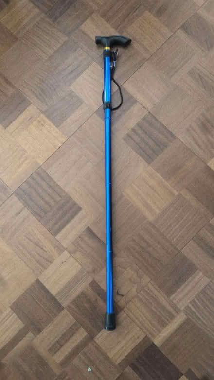 Photo of free Foldable Walking Stick (Normandy, GU3) #1