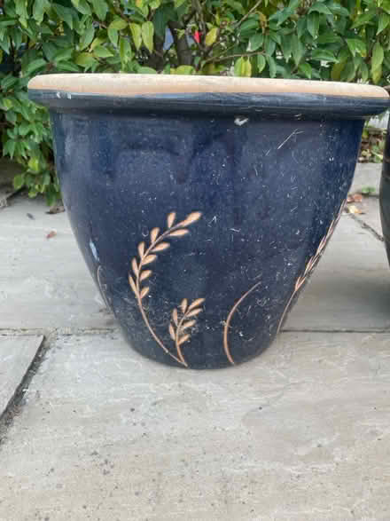 Photo of free 2 large pots (Bowbridge GL5) #2